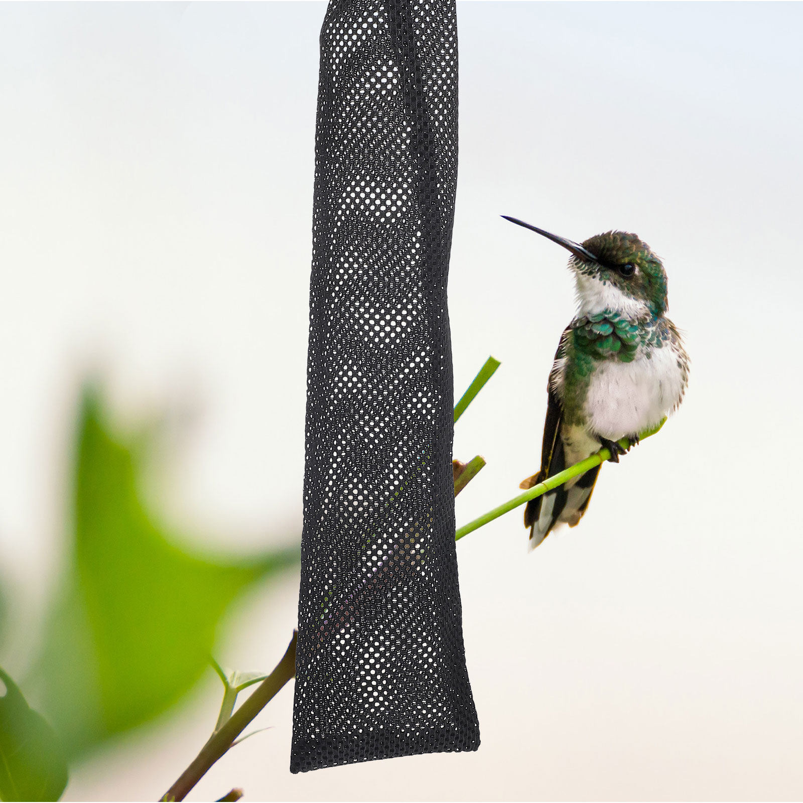 Mesh Feeder Bag - ถุงตาข่ายให้อาหารนก 3 ชิ้น ทำจากไนลอน ทนต่อการเสียดสี พร้อมเชือกรูดสำหรับแขวน